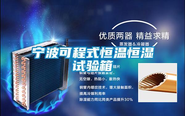 寧波可程式恒溫恒濕試驗(yàn)箱