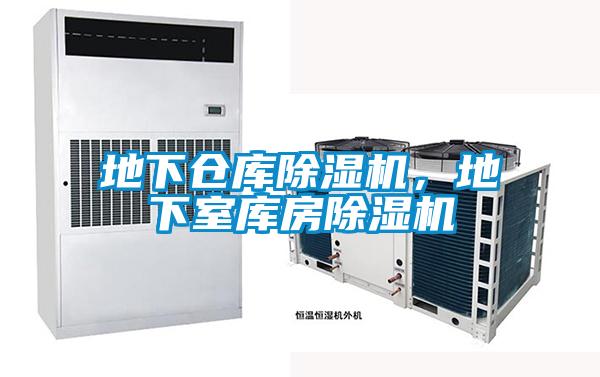 地下倉(cāng)庫(kù)除濕機(jī)，地下室?guī)旆砍凉駲C(jī)