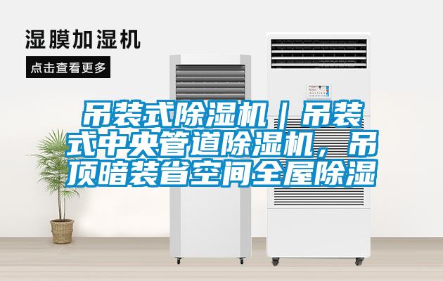 吊裝式除濕機(jī)｜吊裝式中央管道除濕機(jī)，吊頂暗裝省空間全屋除濕
