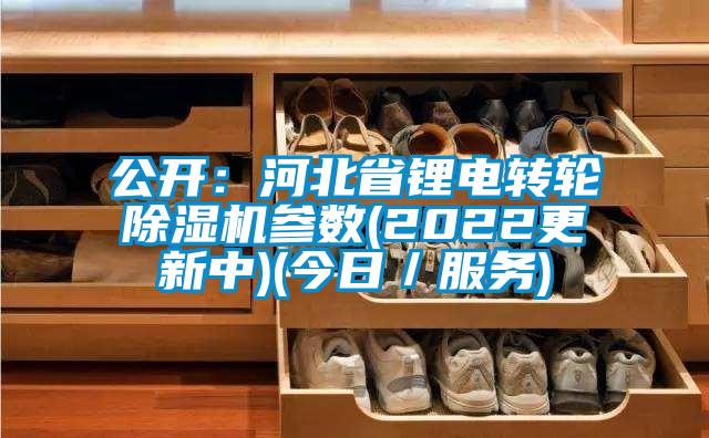 公開：河北省鋰電轉(zhuǎn)輪除濕機(jī)參數(shù)(2022更新中)(今日／服務(wù))
