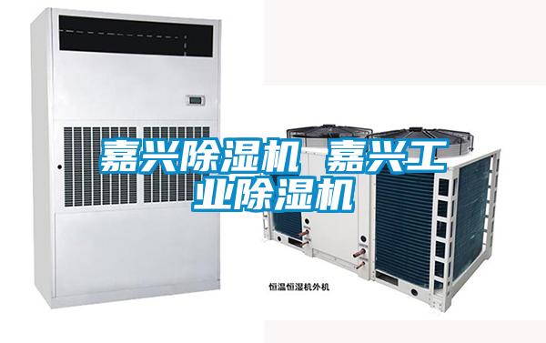 嘉興除濕機 嘉興工業(yè)除濕機