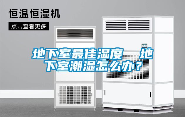 地下室最佳濕度  地下室潮濕怎么辦？