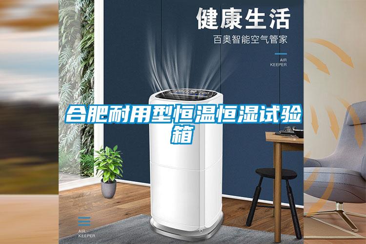 合肥耐用型恒溫恒濕試驗箱