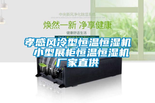 孝感風(fēng)冷型恒溫恒濕機(jī) 小型展柜恒溫恒濕機(jī)廠家直供
