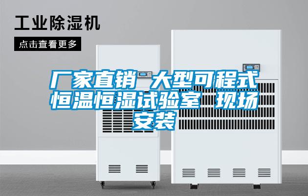 廠家直銷 大型可程式恒溫恒濕試驗室 現(xiàn)場安裝
