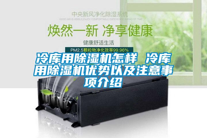 冷庫用除濕機怎樣 冷庫用除濕機優(yōu)勢以及注意事項介紹