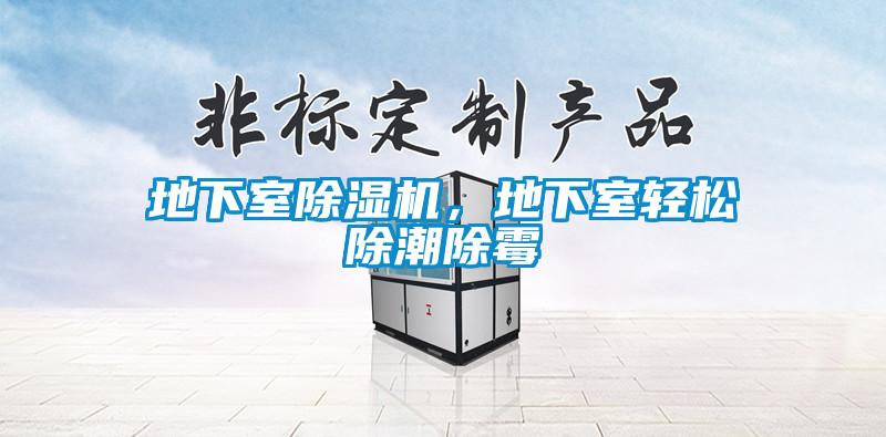 地下室除濕機(jī)，地下室輕松除潮除霉