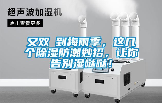 又雙叒到梅雨季，這幾個除濕防潮妙招，讓你告別濕噠噠！