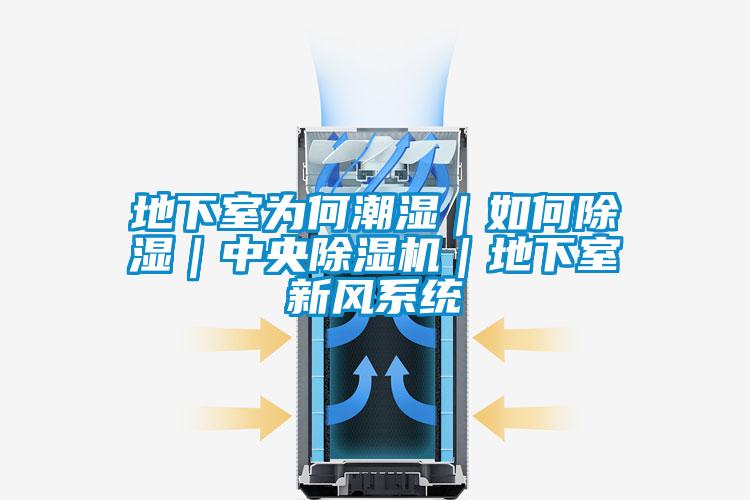 地下室為何潮濕｜如何除濕｜中央除濕機(jī)｜地下室新風(fēng)系統(tǒng)
