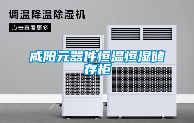 咸陽(yáng)元器件恒溫恒濕儲(chǔ)存柜