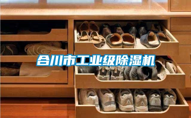 合川市工業(yè)級除濕機