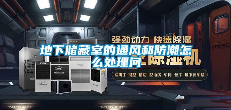 地下儲(chǔ)藏室的通風(fēng)和防潮怎么處理問