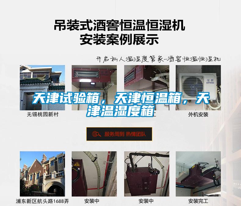 天津試驗(yàn)箱，天津恒溫箱，天津溫濕度箱