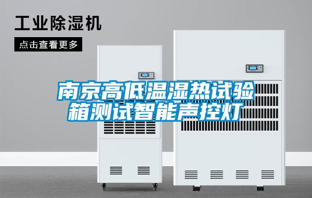 南京高低溫濕熱試驗(yàn)箱測試智能聲控?zé)?/></p>
<p style=