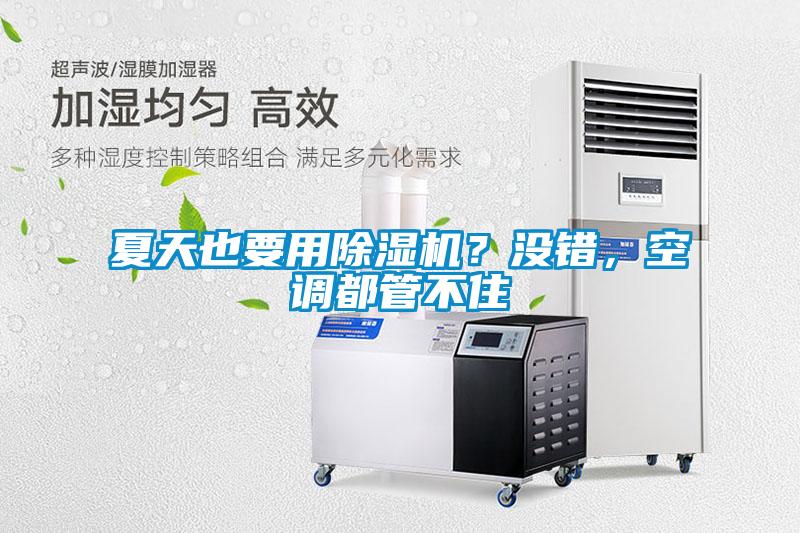 夏天也要用除濕機(jī)？沒(méi)錯(cuò)，空調(diào)都管不住