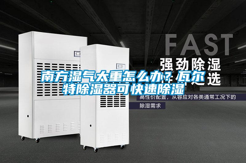 南方濕氣太重怎么辦？瓦爾特除濕器可快速除濕