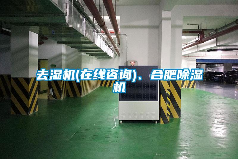 去濕機(在線咨詢)、合肥除濕機