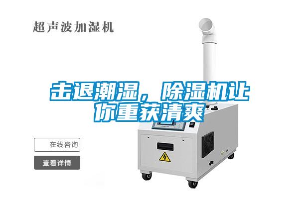 擊退潮濕，除濕機(jī)讓你重獲清爽
