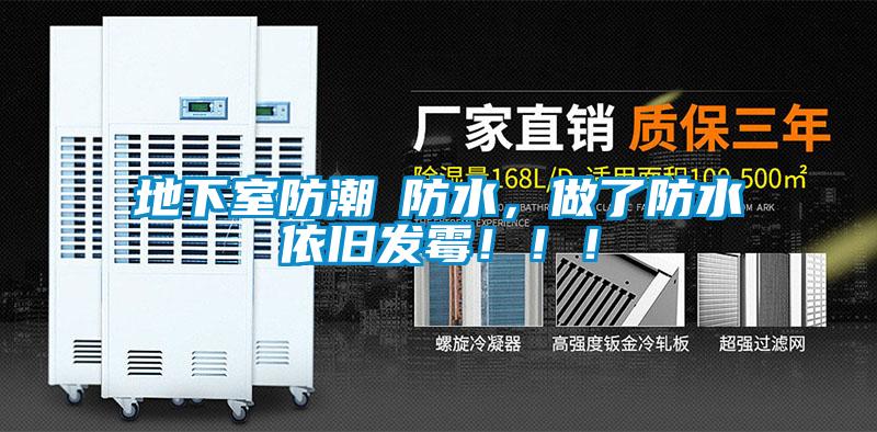 地下室防潮≠防水，做了防水依舊發(fā)霉?。?！