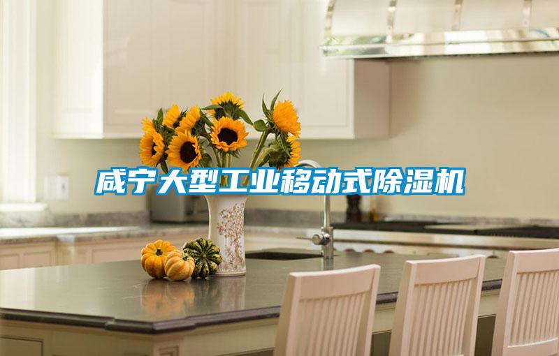 咸寧大型工業(yè)移動式除濕機(jī)