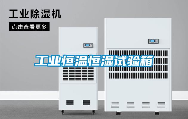 工業(yè)恒溫恒濕試驗箱