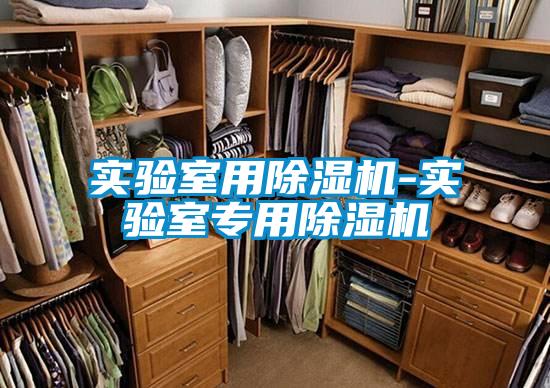 實驗室用除濕機(jī)-實驗室專用除濕機(jī)