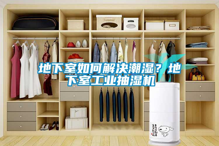 地下室如何解決潮濕？地下室工業(yè)抽濕機(jī)