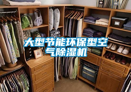 大型節(jié)能環(huán)保型空氣除濕機