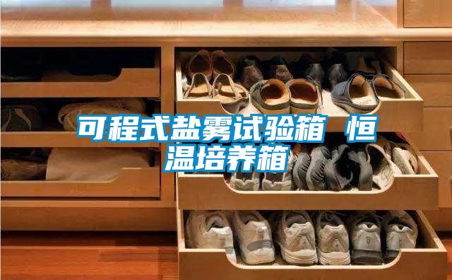 可程式鹽霧試驗箱 恒溫培養(yǎng)箱