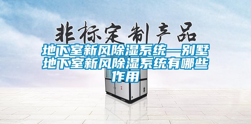 地下室新風(fēng)除濕系統(tǒng)—?jiǎng)e墅地下室新風(fēng)除濕系統(tǒng)有哪些作用