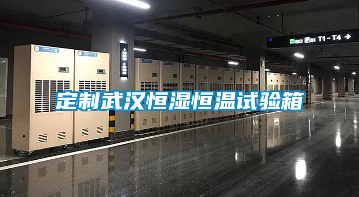 定制武漢恒濕恒溫試驗(yàn)箱