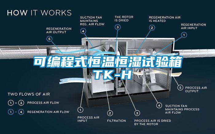 可編程式恒溫恒濕試驗箱 TK-H