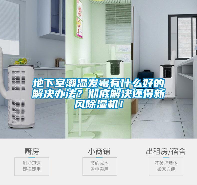 地下室潮濕發(fā)霉有什么好的解決辦法？徹底解決還得新風(fēng)除濕機(jī)！