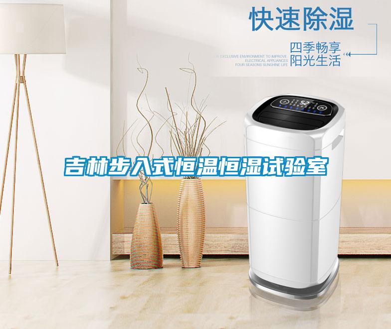 吉林步入式恒溫恒濕試驗(yàn)室