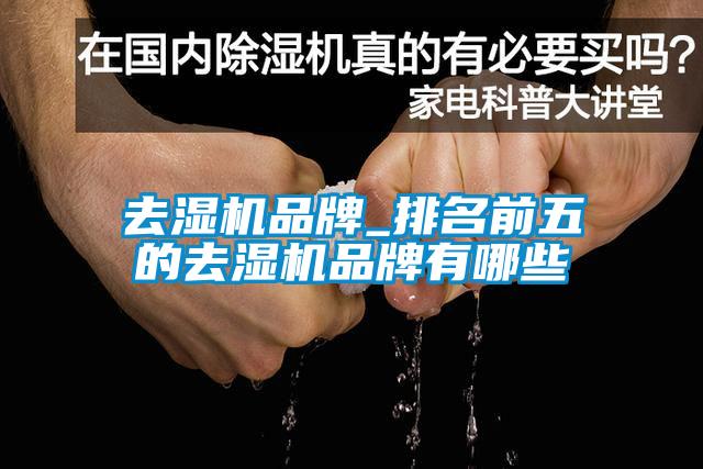 去濕機(jī)品牌_排名前五的去濕機(jī)品牌有哪些
