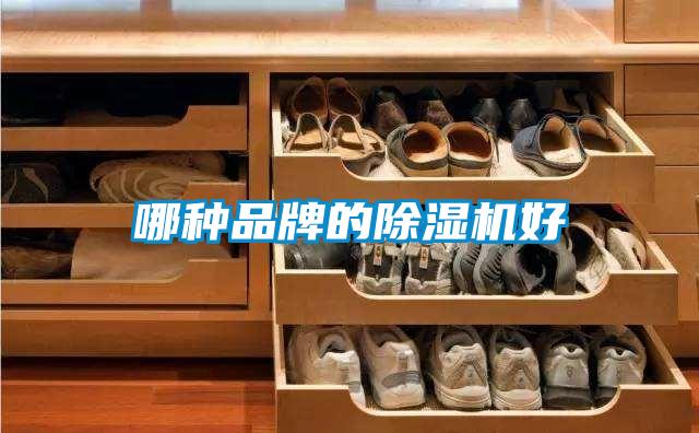 哪種品牌的除濕機(jī)好