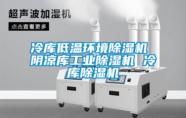 冷庫低溫環(huán)境除濕機 陰涼庫工業(yè)除濕機 冷庫除濕機