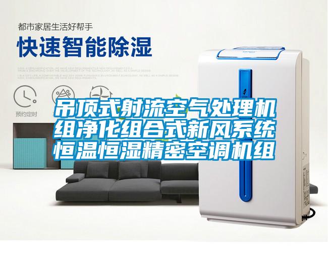 吊頂式射流空氣處理機組凈化組合式新風(fēng)系統(tǒng)恒溫恒濕精密空調(diào)機組