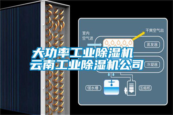 大功率工業(yè)除濕機 云南工業(yè)除濕機公司