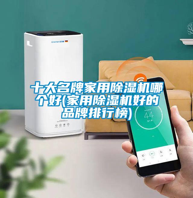 十大名牌家用除濕機(jī)哪個(gè)好(家用除濕機(jī)好的品牌排行榜)