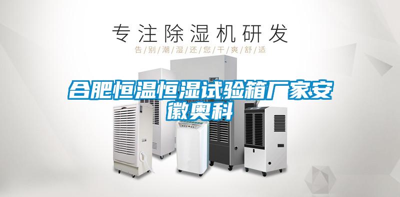 合肥恒溫恒濕試驗(yàn)箱廠家安徽奧科