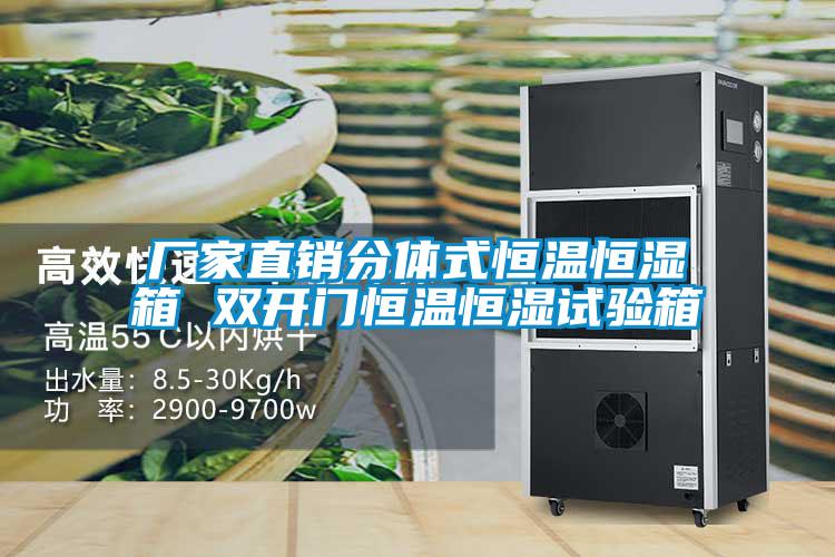 廠家直銷分體式恒溫恒濕箱 雙開門恒溫恒濕試驗箱