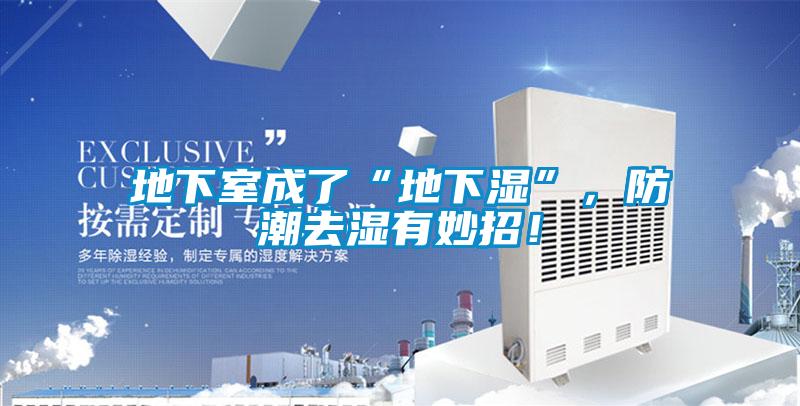 地下室成了“地下濕”，防潮去濕有妙招！
