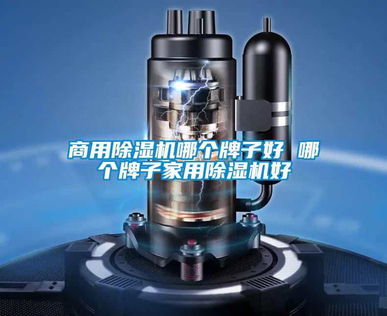 商用除濕機(jī)哪個牌子好 哪個牌子家用除濕機(jī)好