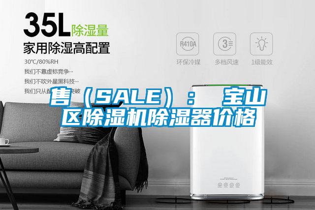 售（SALE）： 寶山區(qū)除濕機(jī)除濕器價(jià)格