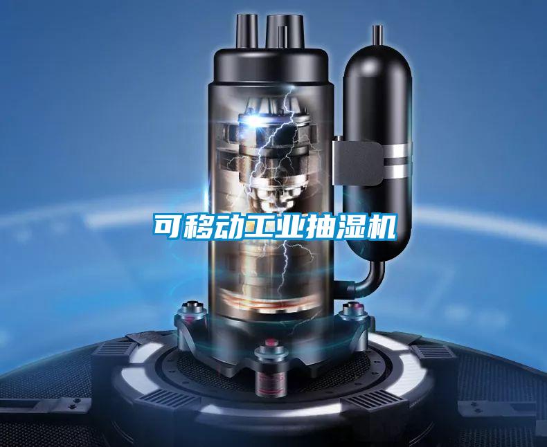 可移動工業(yè)抽濕機(jī)