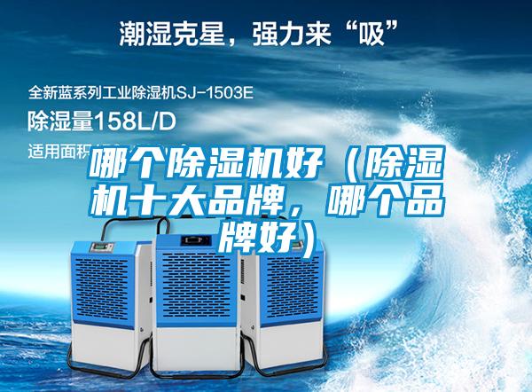 哪個除濕機好（除濕機十大品牌，哪個品牌好）
