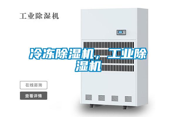 冷凍除濕機(jī)，工業(yè)除濕機(jī)
