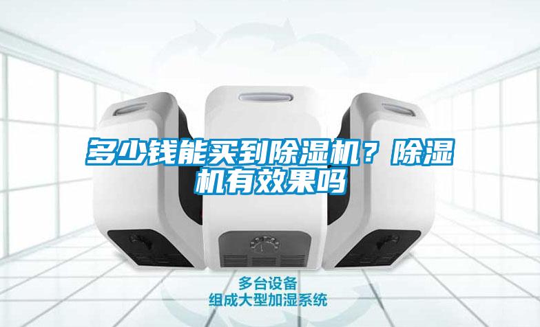多少錢能買到除濕機？除濕機有效果嗎