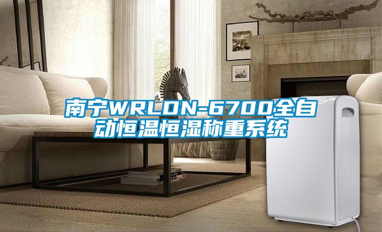 南寧WRLDN-6700全自動(dòng)恒溫恒濕稱(chēng)重系統(tǒng)